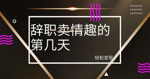 冷门赛道，辞职卖情趣的第几天，超暴力项目-资源宝库