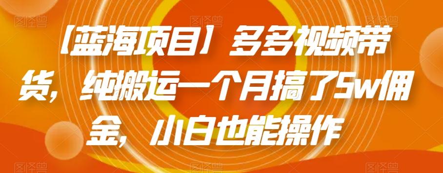 【蓝海项目】多多视频带货，纯搬运一个月搞了5w佣金，小白也能操作【揭秘】-资源宝库