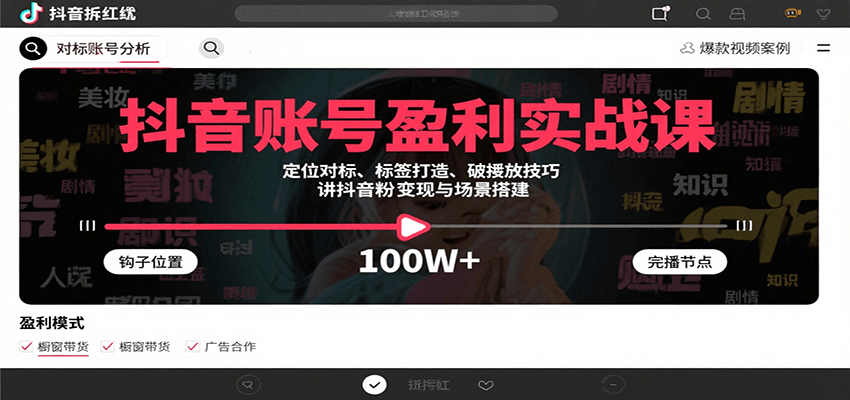 抖音账号盈利实战课,定位对标、标签打造、破播放技巧,讲涨粉变现与场景搭建-资源宝库