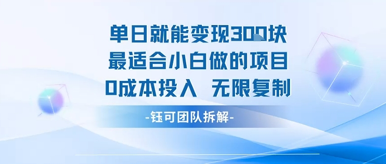 单日就能变现3张最适合小白做的项目0成本投入 无限复制-资源宝库