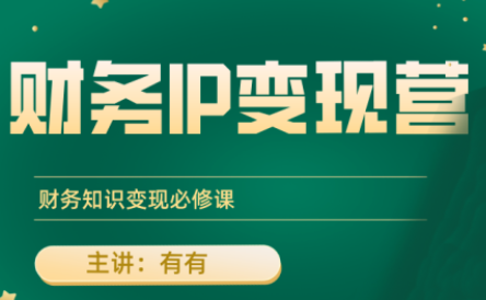 有有老师·财务IP变现营，财务知识变现必修课-资源宝库