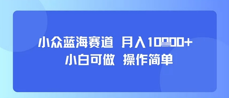 小众蓝海赛道，小白可做，操作简单，每天30分钟，月入1W+-资源宝库