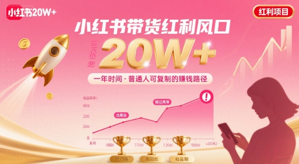 一年时间靠小红书带货项目年入20w+，最不能错的大红利项目-资源宝库
