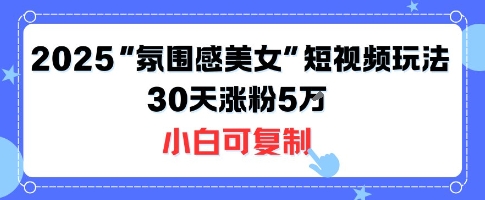 不露脸也能火！2025“氛围感美女”短视频玩法，30天涨粉5W小白可复制-资源宝库