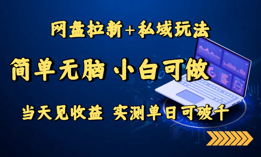 网盘拉新+私域玩法，简单无脑，小白可做，当天见收益，实测单日可破千-资源宝库