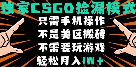 CSGO自动捡漏项目，最新独家玩法，不是美区搬砖，不需要了解和玩游戏，新手小白轻松月入1W+【揭秘】-资源宝库
