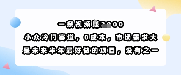一条视频挣1k，小众冷门赛道，0成本，市场需求大，是未来半年最好做的项目，没有之一-资源宝库