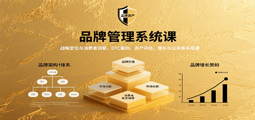 品牌管理系统课:战略定位与消费者洞察,DTC案例、资产评估,增长与公关体系搭建-资源宝库
