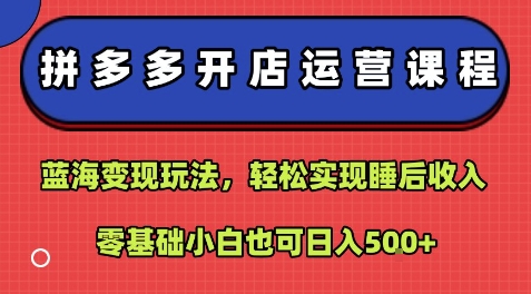 拼多多开店运营课程：蓝海变现玩法，轻松实现睡后收入，零基础小白也可日入5张-资源宝库