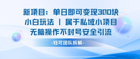 新项目单日即可变现3张的小白玩法无脑操作不封号安全引流-资源宝库