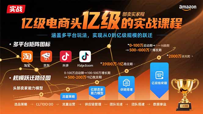 亿级电商头部卖家的实战课程：涵盖多平台玩法，实现从0到亿级规模的跃迁-资源宝库