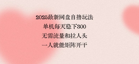 2025最新网盘自撸玩法,单机每天稳下3张,无需流量和拉人头,一个人就可轻松矩阵,全网独一份【揭秘】-资源宝库