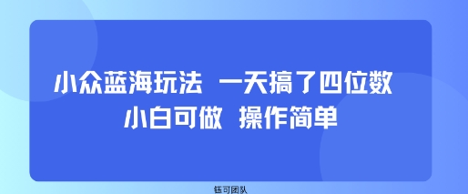 小众蓝海玩法 一天搞了四位数 小白可做 操作简单-资源宝库