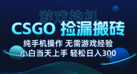 8月最新游戏搬砖，CSGO纯挂G，不需要玩游戏，实现真挂G，月入1W+【揭秘】-资源宝库