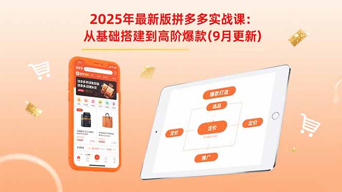2025年最新版拼多多实战课：从基础搭建到高阶爆款(9月更新-资源宝库