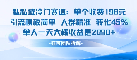 私域冷门赛道单个收费198米引流模板简单人群精准 45%的转化率单人一天大概收益多张-资源宝库