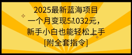 2025最新蓝海项目一个月变现1w+新手小白也能轻松上手【附全套指令】-资源宝库