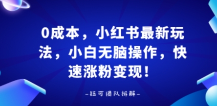 0成本，小红书最新玩法，小白无脑操作，快速涨粉变现-资源宝库