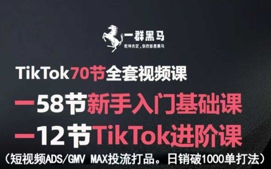 TikTok全套视频课，新手入门+进阶课，短视频ADS-GMV MAX投流打品，日销破1000单打法-资源宝库