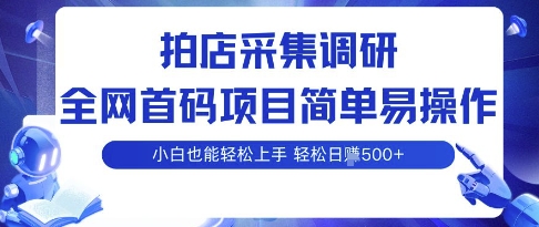拍店采集调研，全网首码项目，简单易操作， 小白也能轻松上手，多账号操作，轻松日入5张【揭秘】-资源宝库