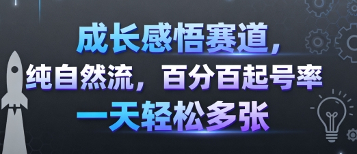 成长感悟赛道，纯自然流，百分百起号率 一天轻松多张-资源宝库