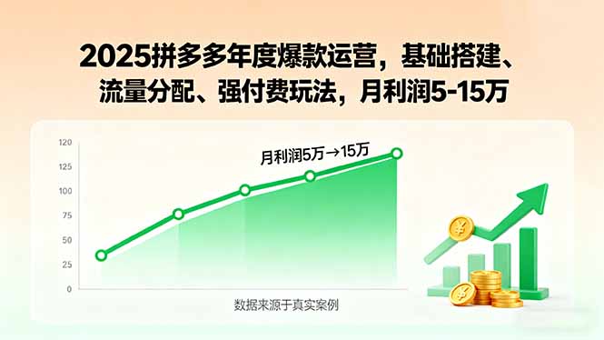 2025拼多多年度爆款运营，基础搭建、流量分配、强付费玩法，月利润5-15万-资源宝库