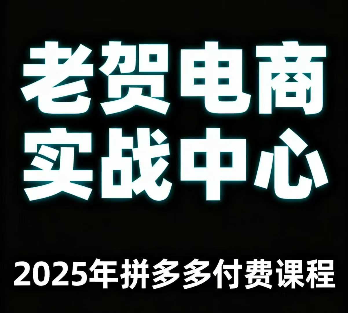 老贺电商2025年拼多多付费课程，用通俗易懂的方法告诉你多多怎么玩-资源宝库