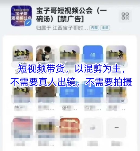 宝子哥头部团队短视频带货，以混剪为主，不需要真人出镜，不需要拍摄【更新9月】-资源宝库