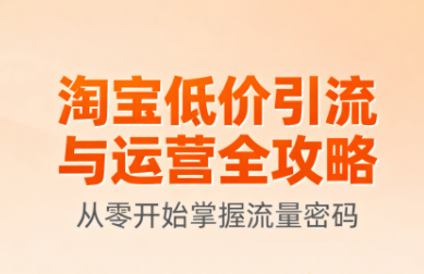 淘宝低价引流与运营全攻略(更新9月)-资源宝库