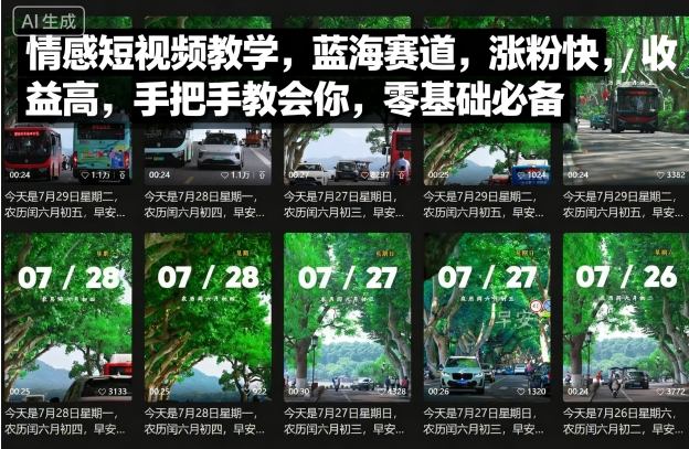 情感短视频教学，蓝海赛道，涨粉快，收益高，手把手教会你，零基础必备-资源宝库
