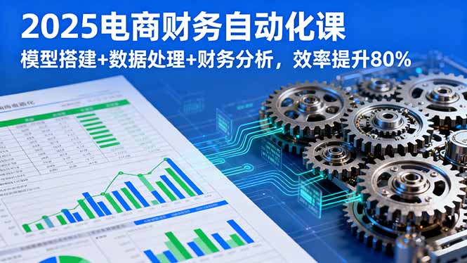 2025电商财务自动化课，模型搭建+数据处理+财务分析，效率提升80%-资源宝库