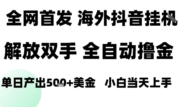 海外抖音无人直播,单日产出1.5k+,长期稳定,新手可玩,无脑操作【揭秘】-资源宝库