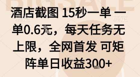 酒店截图15秒一单，一单0.6米，每天任务无上限，全网首发可矩阵单日收益3张【揭秘】-资源宝库