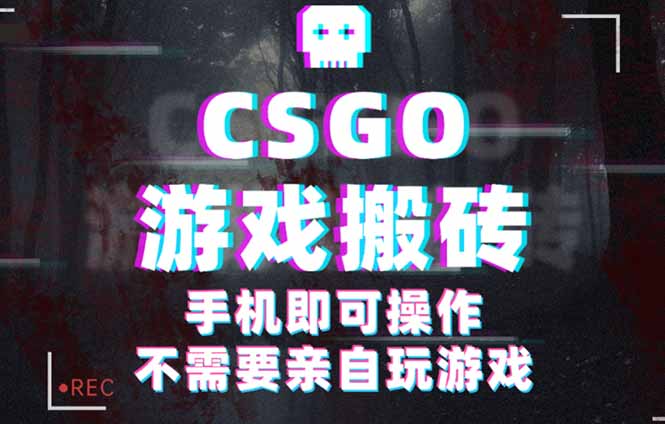 CSGO游戏挂机捡漏，单日扫货500+，年底小高峰上车可吃肉，手机即可操作…-资源宝库