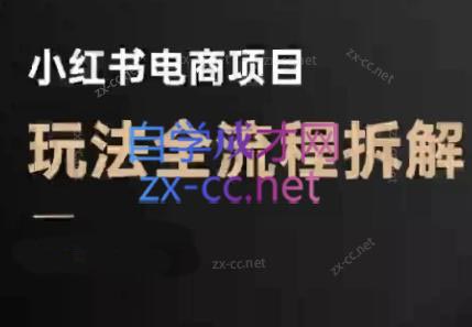 菲菲老师·小红书电商玩法(更新9月)-资源宝库