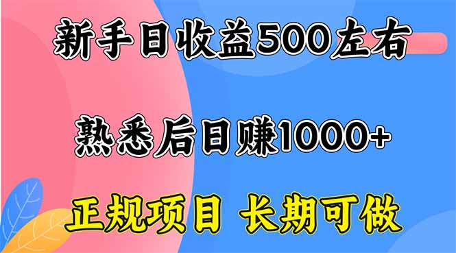 新手日收益500+ 正规项目 长期可做-资源宝库