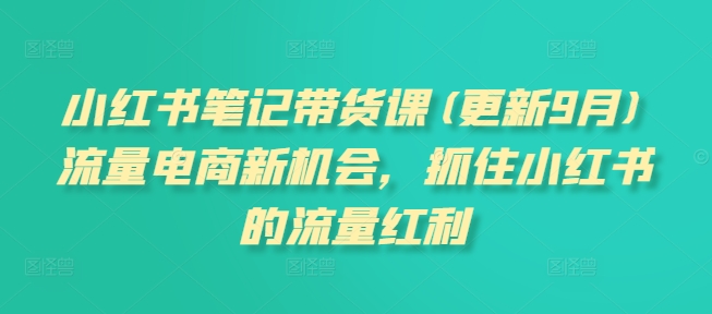 小红书笔记带货课(更新25年9月)流量电商新机会,抓住小红书的流量红利-资源宝库