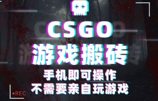 CSGO游戏挂G捡漏，单日扫货5张+，年底小高峰上车可吃肉，手机即可操作，兼职副业创业网创【揭秘】-资源宝库