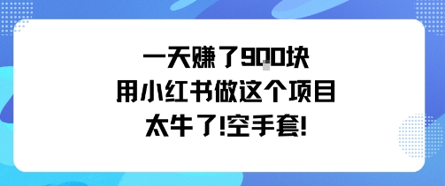 一天挣了9张用小红书做这个项目太牛了，空手套-资源宝库