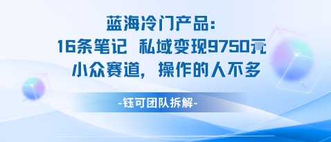 蓝海项目：16条笔记私域变现9750米小众赛道操作的人不多-资源宝库