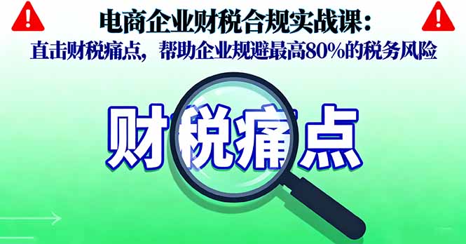 电商企业财税合规实战课,直击财税痛点,帮助企业规避最高80%的税务风险-资源宝库