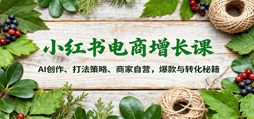 小红书电商增长课：AI创作、打法策略、商家自营，爆款与转化秘籍-资源宝库