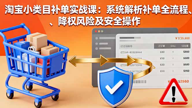 淘宝小类目补单实战课：系统解析补单全流程、降权风险及安全操作-资源宝库