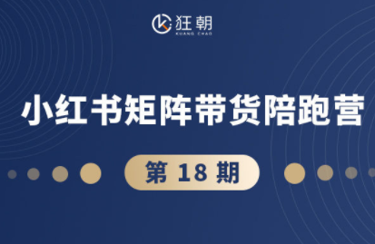 盗坤·抖音小红书视频号短视频带货与直播变现(11-18期)-资源宝库