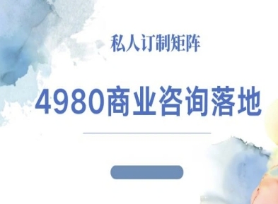 4980商业咨询师落地课程-ip运营高客单教程-资源宝库