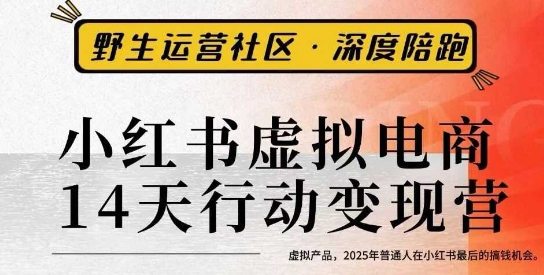小红书虚拟电商14天变现训练营3.0,虚拟产品,2025年普通人在小红书最后的搞钱机会-资源宝库