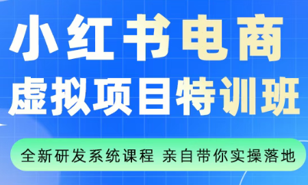陆明明·小红书虚拟项目特训班(更新9月)-资源宝库