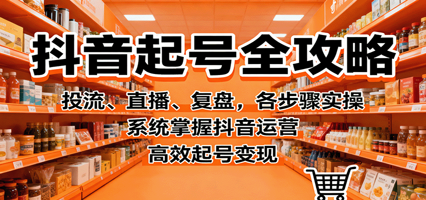 抖音起号全攻略,投流、直播、复盘,各步骤实操,系统掌握抖音运营,高效起号变现-资源宝库
