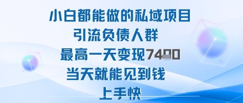 2025年小白都能做的私域项目引流负债人群最高一天变现1k+高变现难度低当天就能见到钱上手快-资源宝库