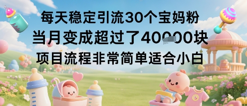 每天稳定引流30个宝妈粉当月变成超过了1W+项目流程非常简单适合小白-资源宝库
